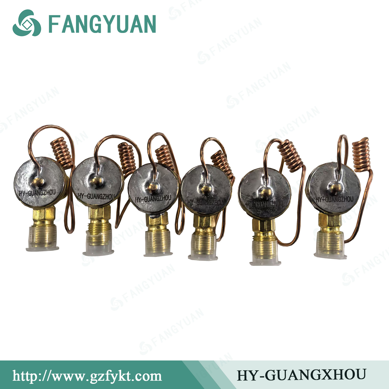 HY-GUANGXHOU   Expansion Valve